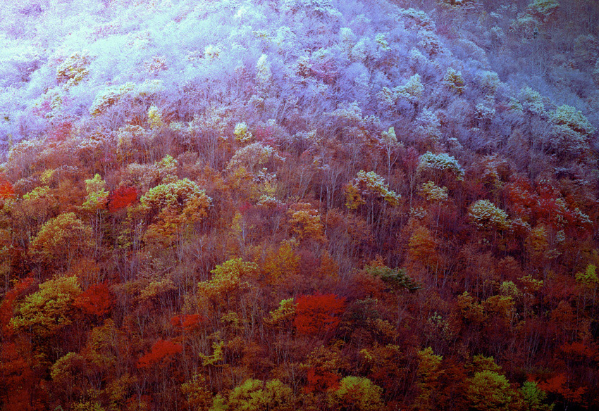 STUDIO SEEK（スタジオ シーク） 大滝吉春　撮影