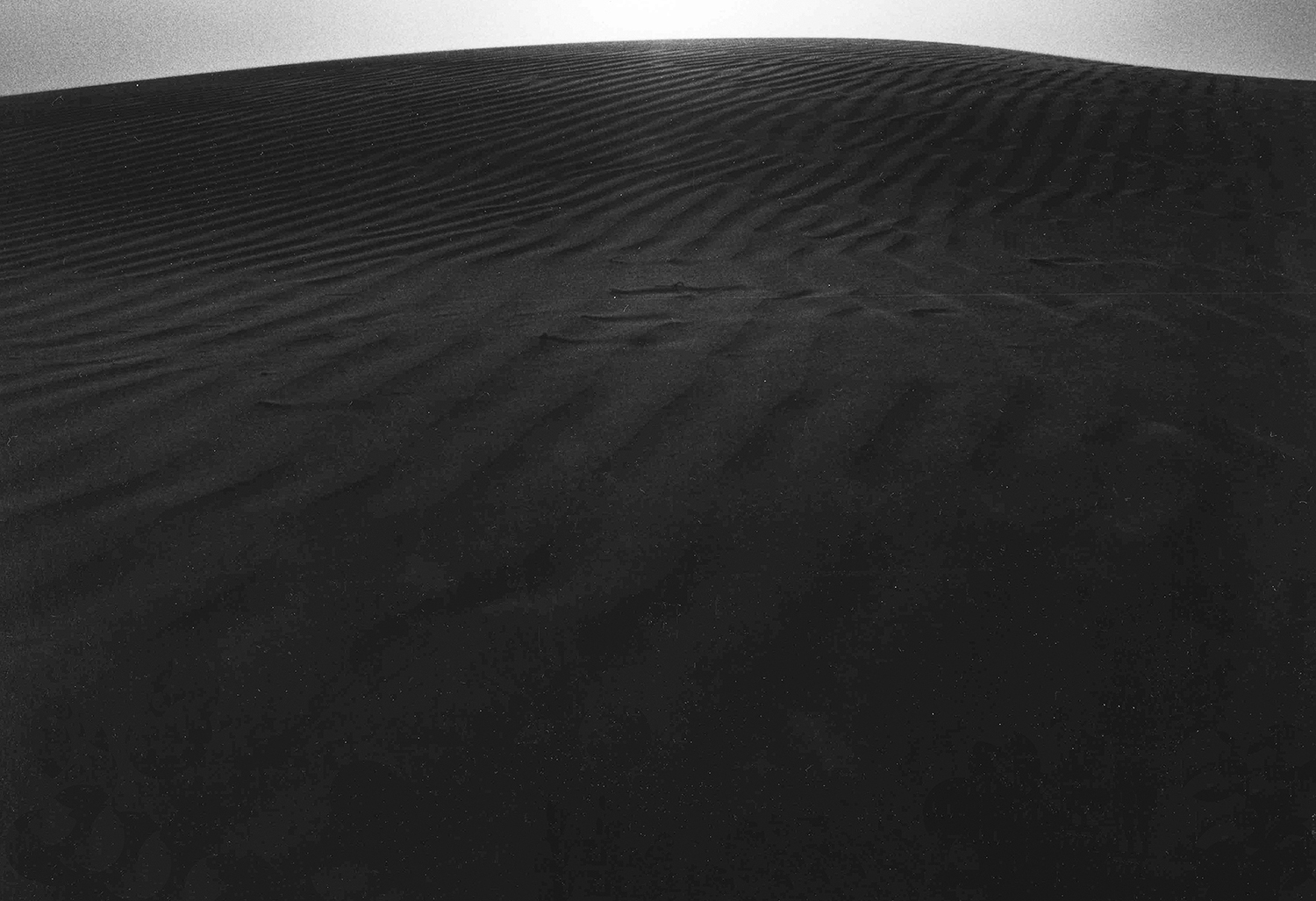 STUDIO SEEK（スタジオ シーク） 大滝吉春　撮影