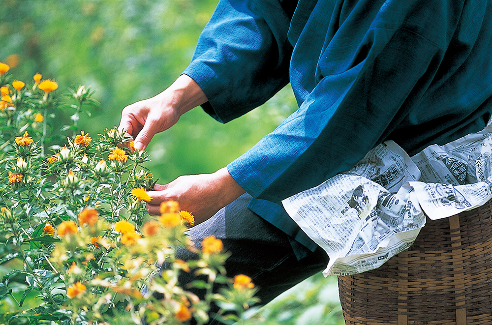 STUDIO SEEK（スタジオ シーク） 大滝吉春　撮影